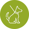 Pet Walking
Zone